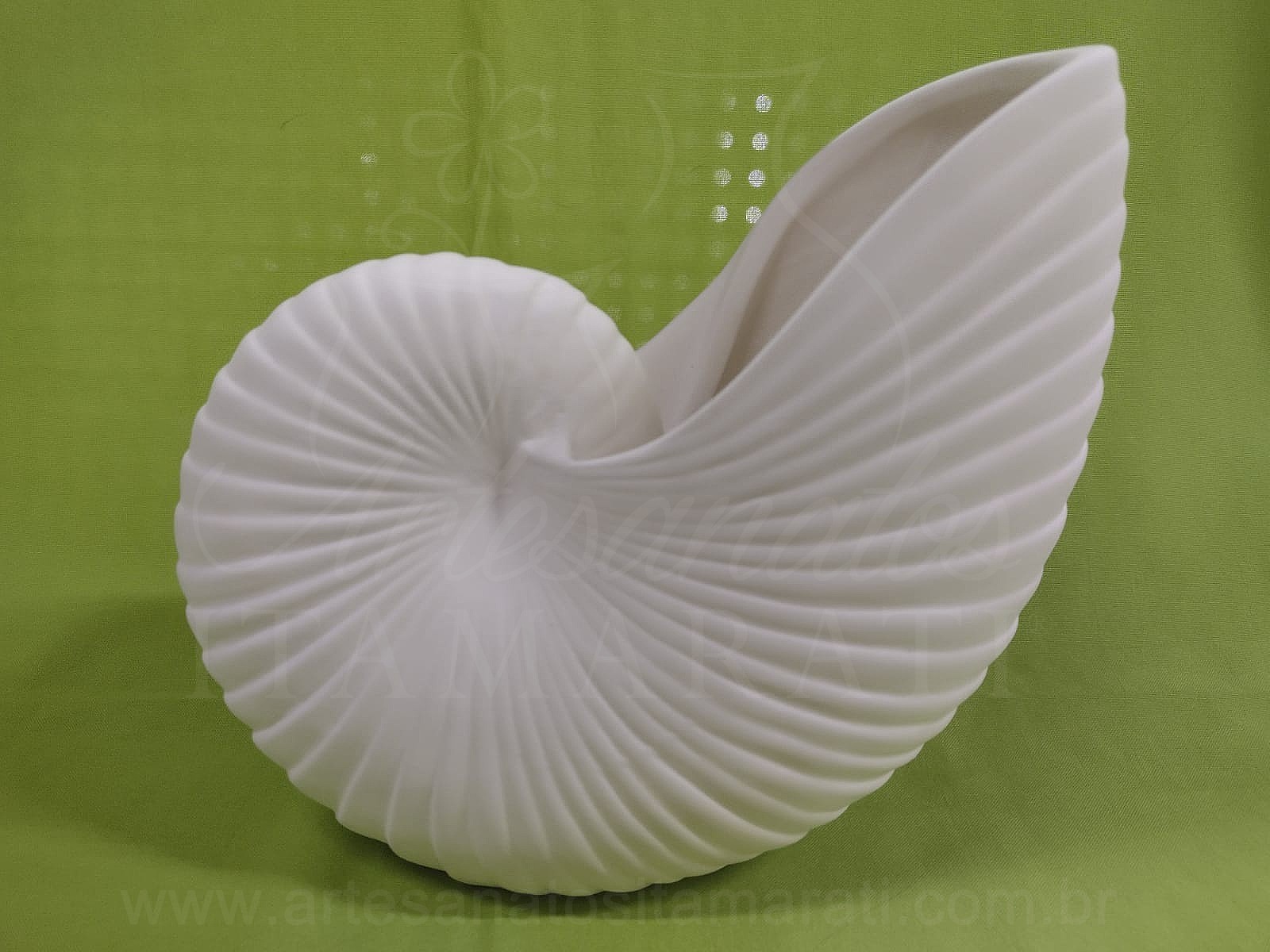 Caracol G